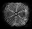 By sending vibration through this plate with sand on it, the standing waves form this sacred geometric in a process called cymatics.