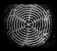 A specific frequency vibrating in sand shows up as this form in a beautiful process called Cymatics.